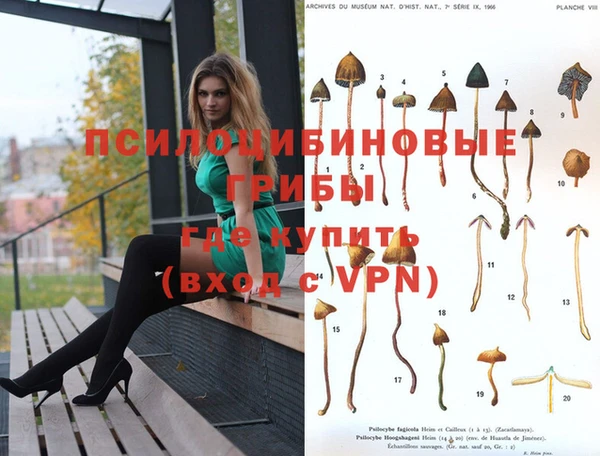 кристаллы Пролетарск