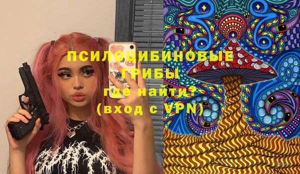 амф Протвино