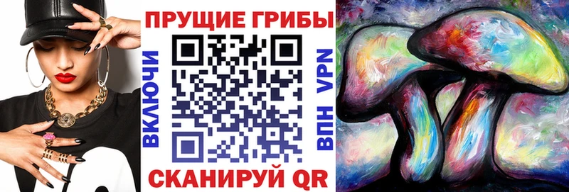hydra сайт  Власиха  Галлюциногенные грибы Psilocybe  как найти закладки 